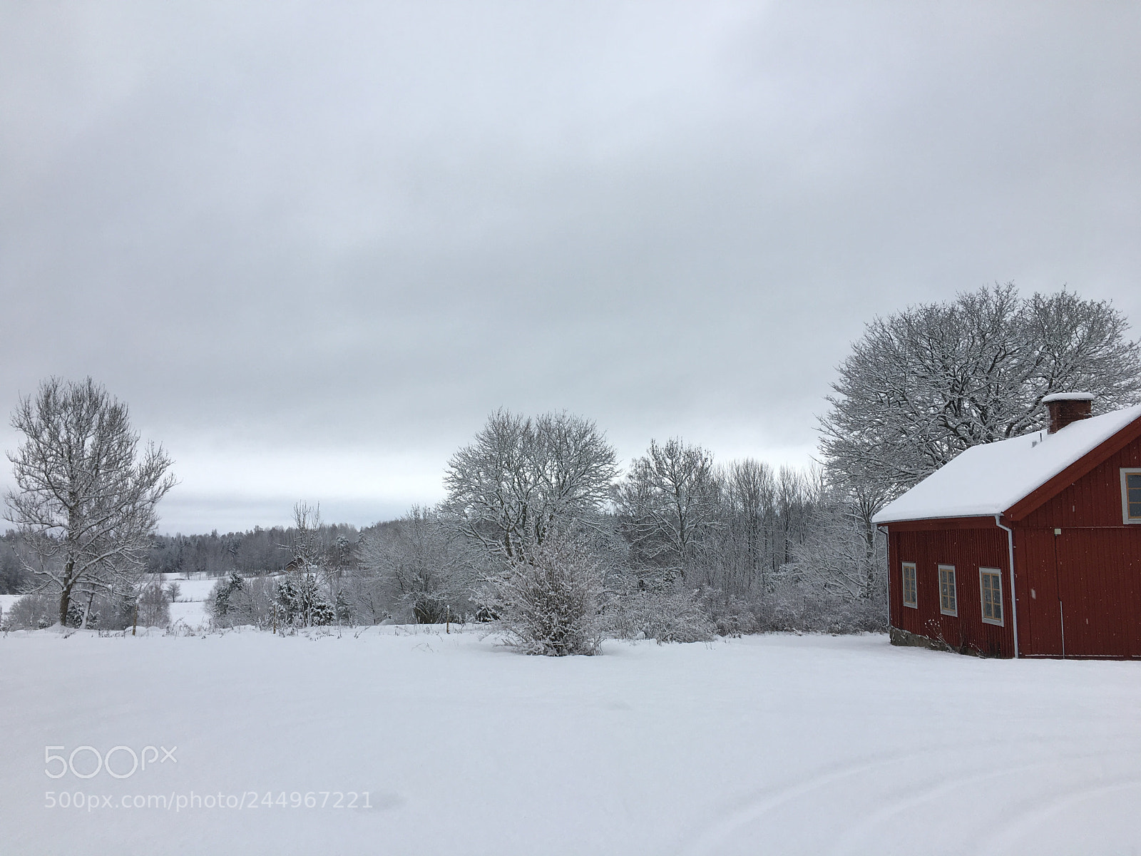 Apple iPhone 6s sample photo. Swedish winter photography