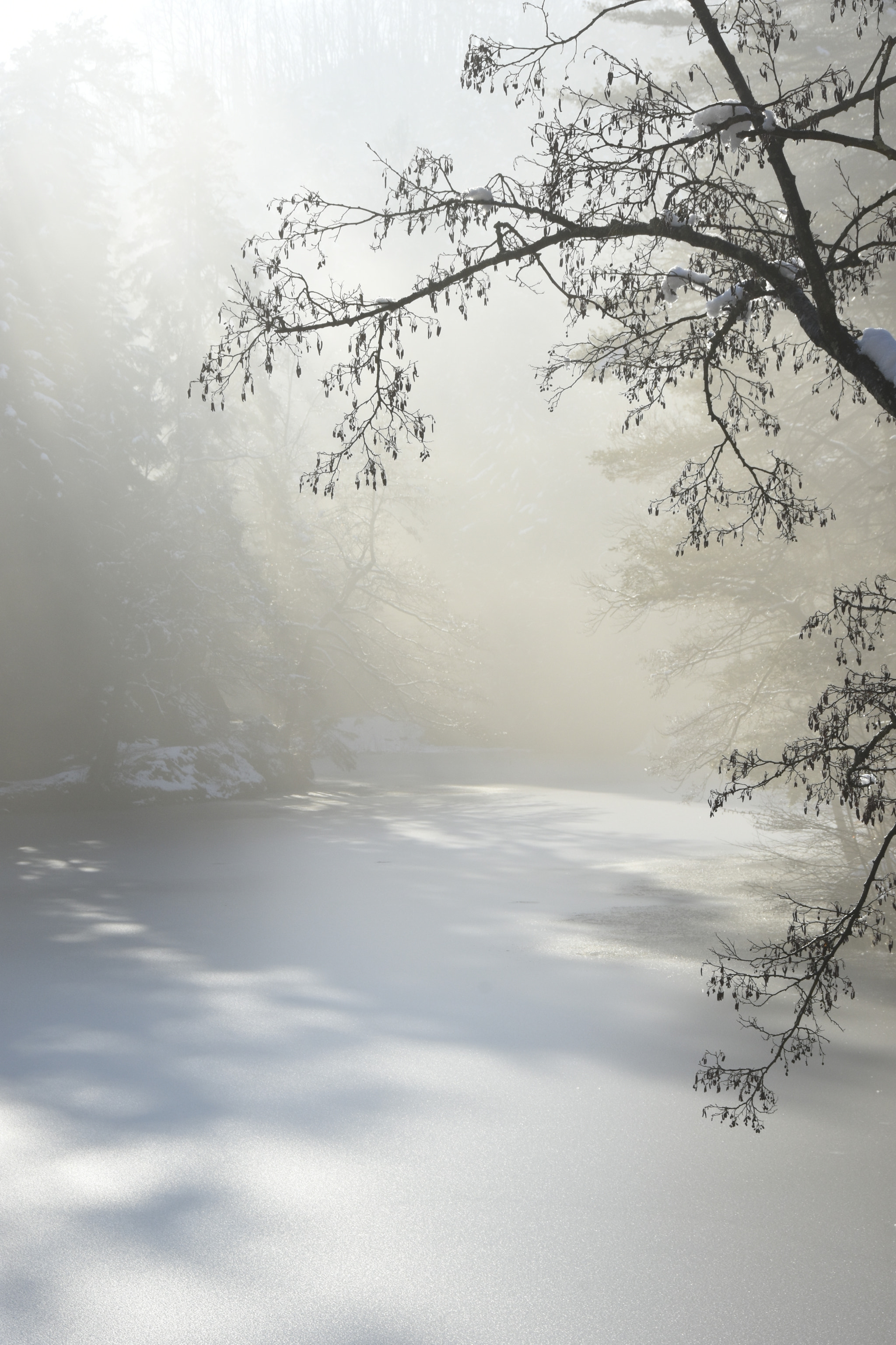 Nikon D7200 sample photo. Trakoscan lake photography
