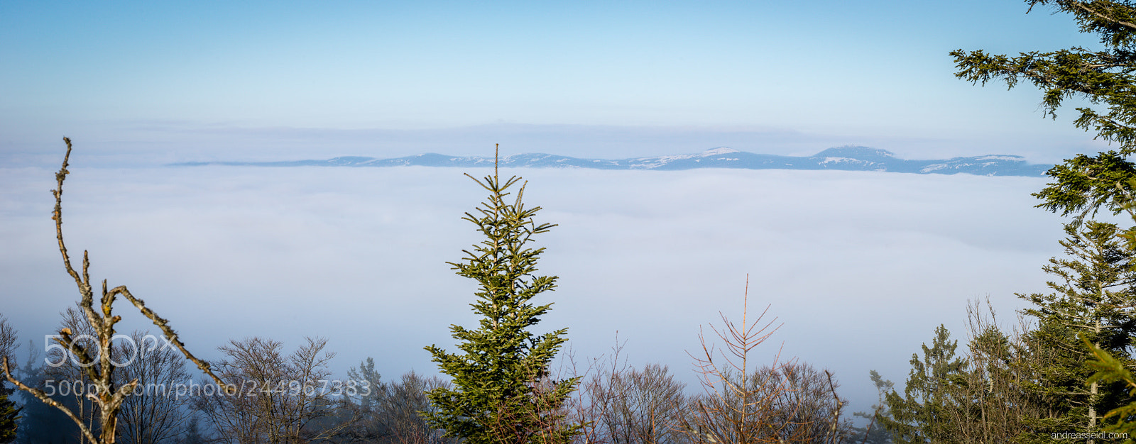 Sony a7 sample photo. Arberkamm im nebelmeer photography