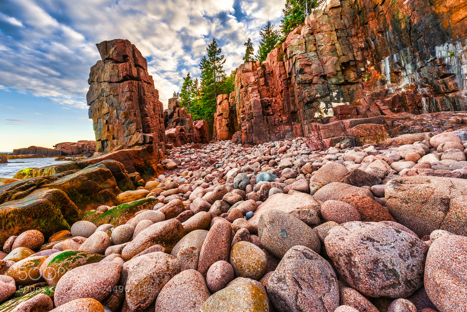 Nikon D810 sample photo. Pebble beach photography
