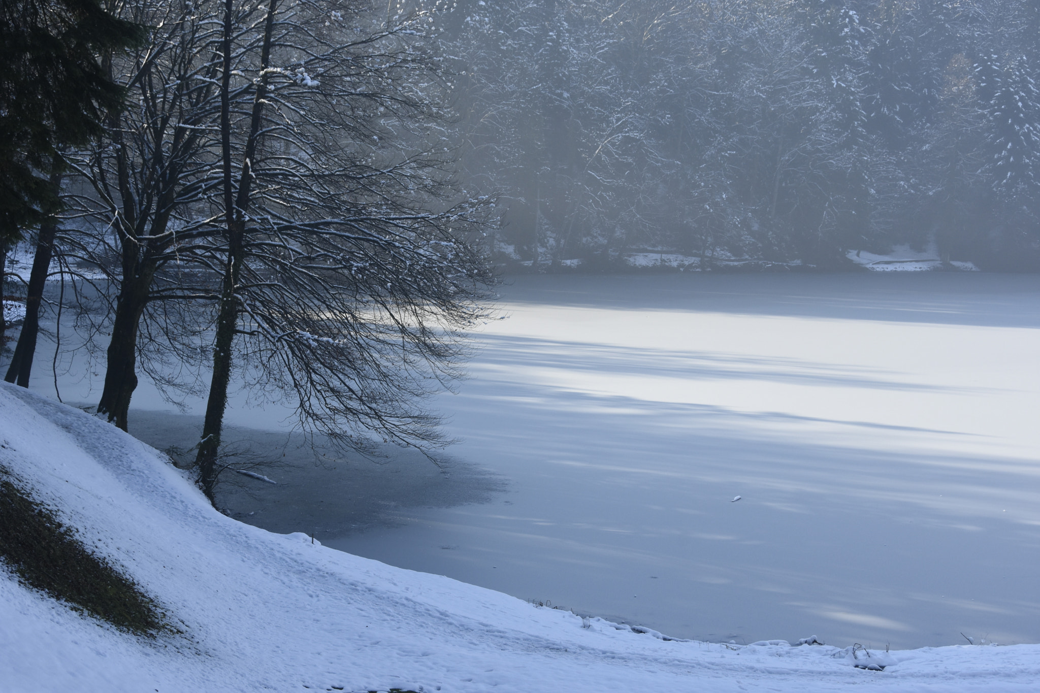 Nikon D7200 sample photo. Trakoscan lake 2 photography