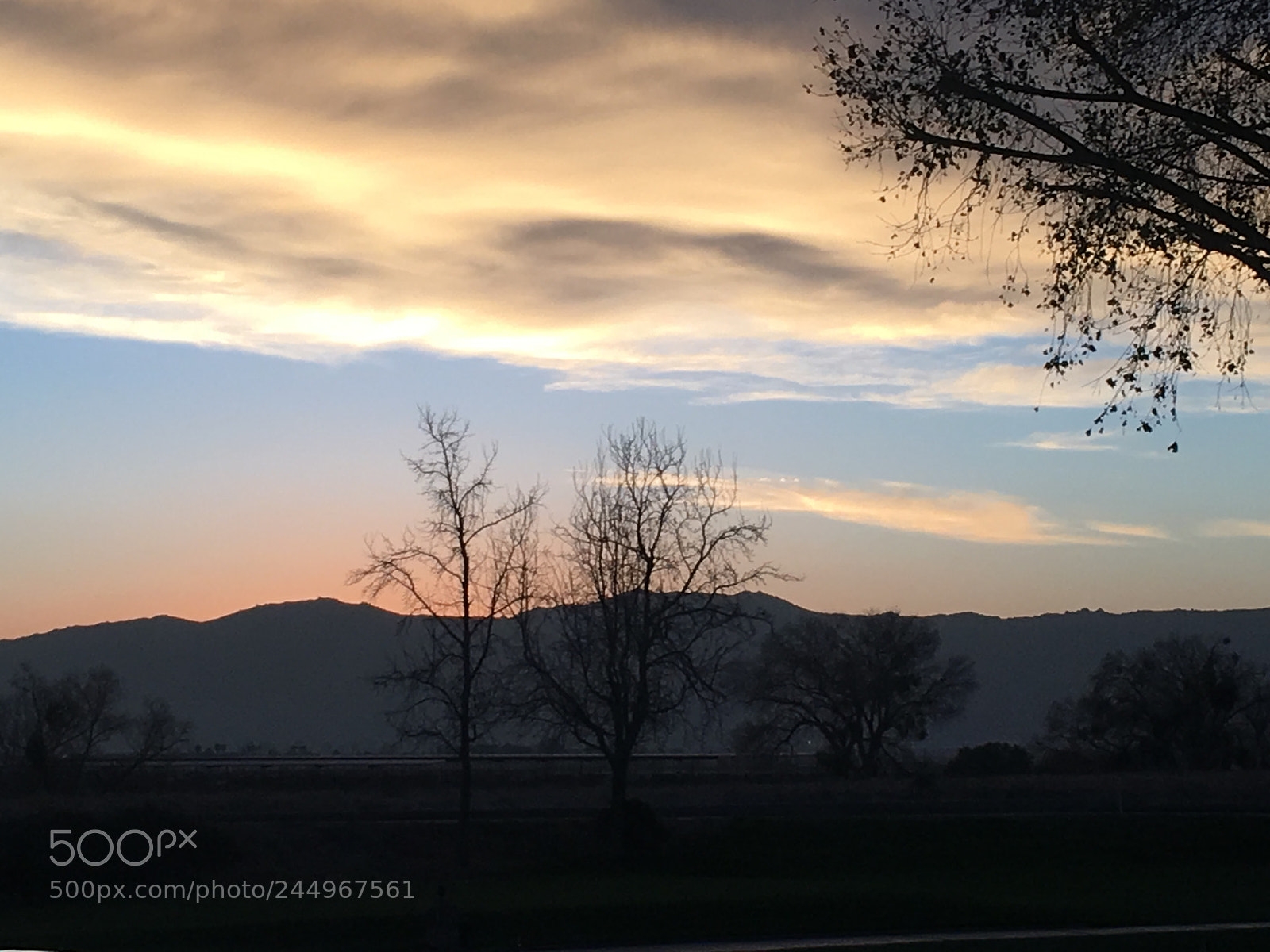Apple iPhone 6s Plus sample photo. Kiss the sky photography