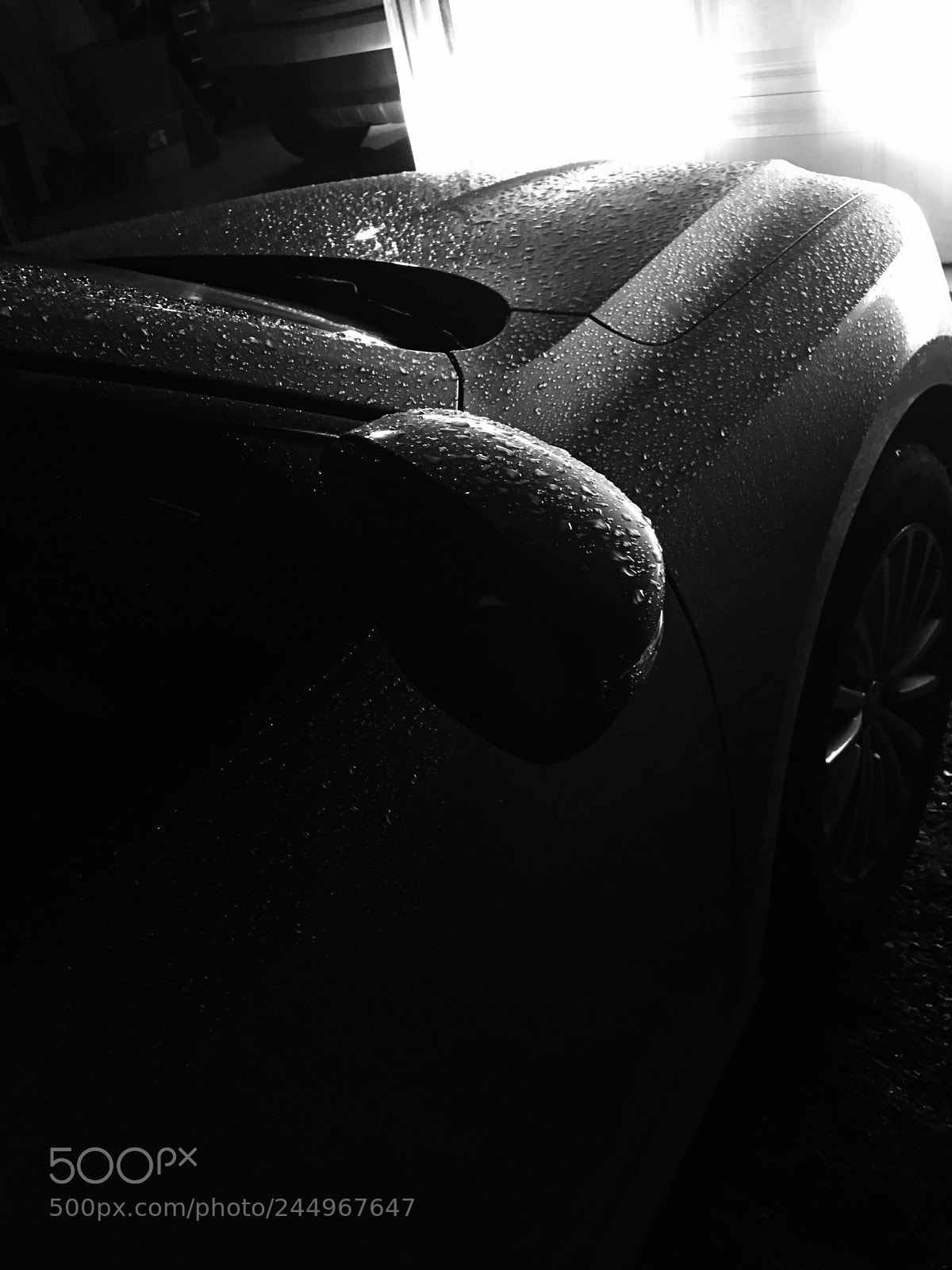 Apple iPhone 6s Plus sample photo. Untitled photography