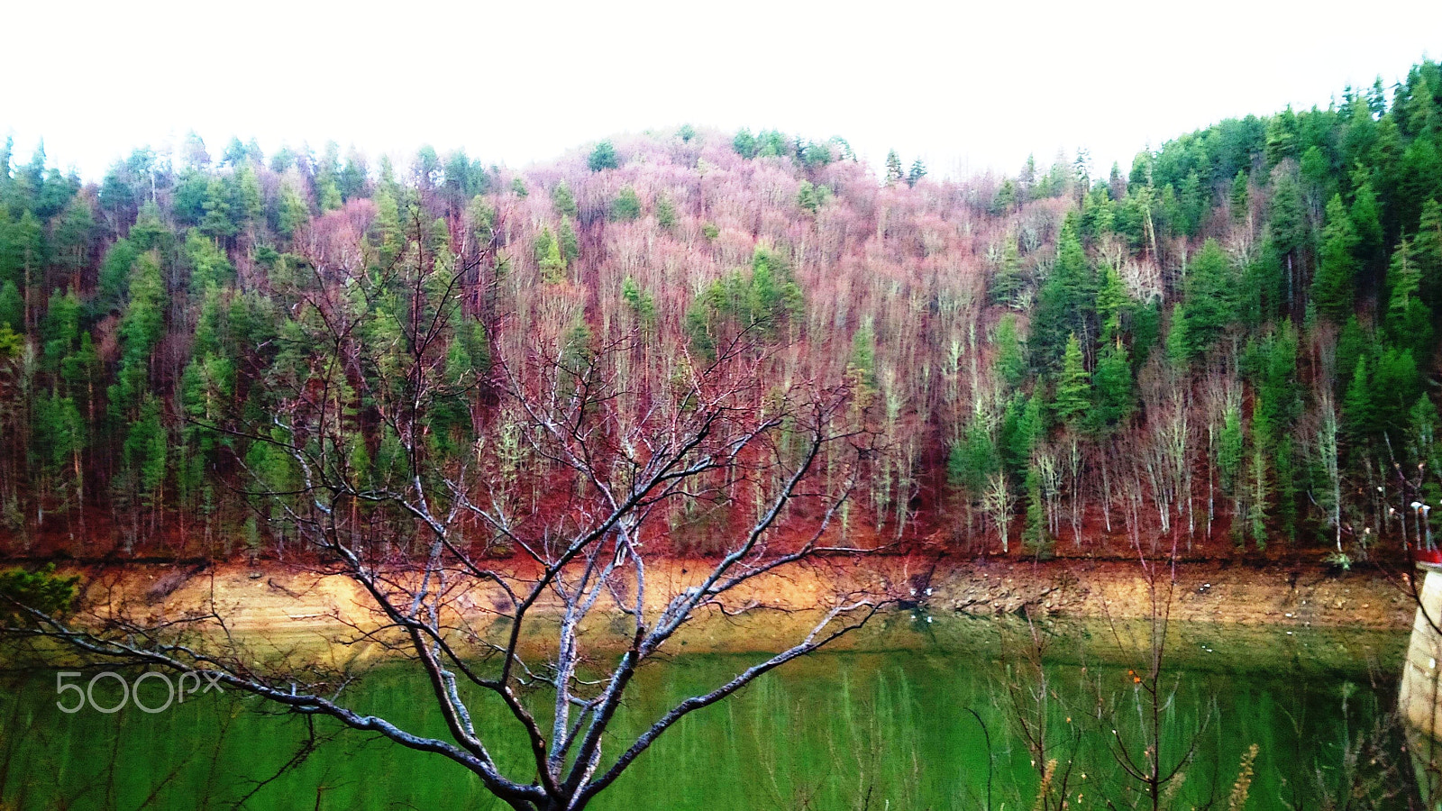 BlackBerry Z10 sample photo