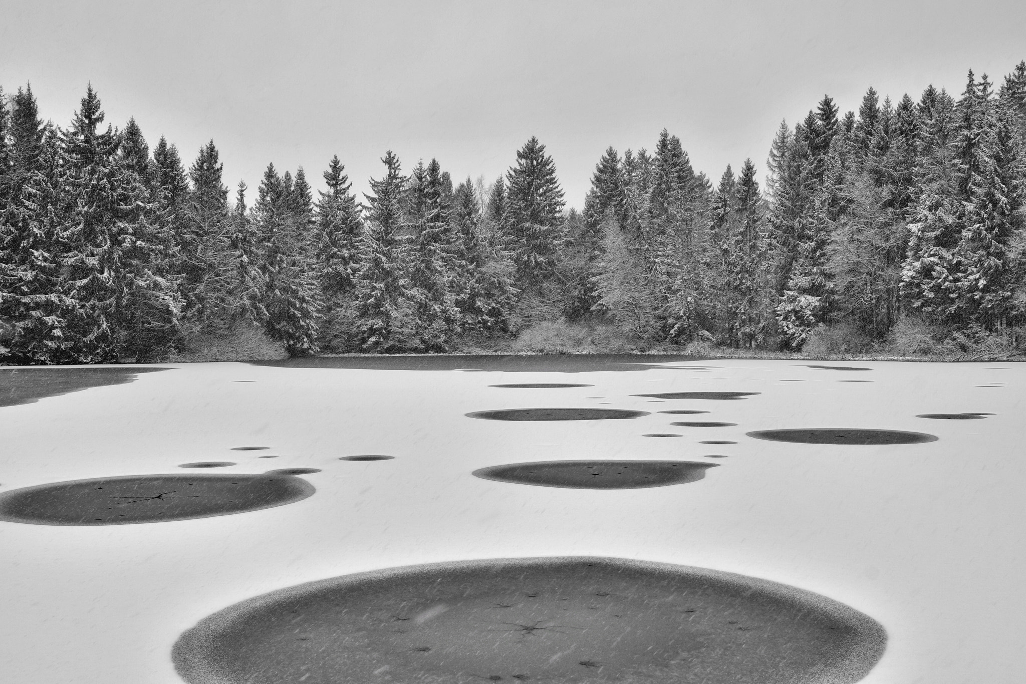 Nikon D500 sample photo. Winterland photography