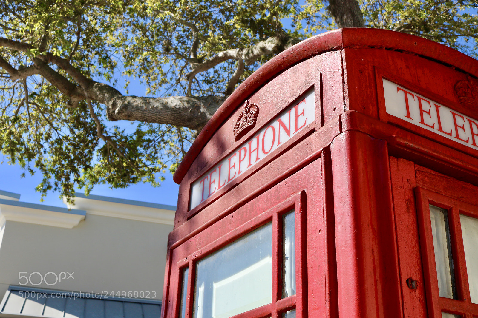 Canon EOS 750D (EOS Rebel T6i / EOS Kiss X8i) sample photo. Untitled photography