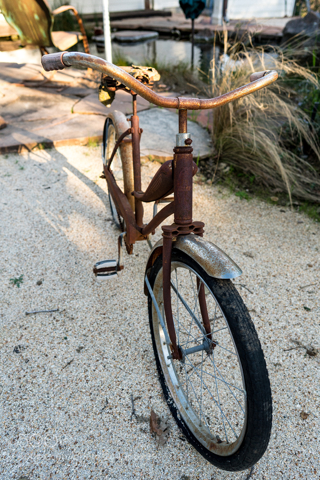 Sony a7R II sample photo. Untitled photography