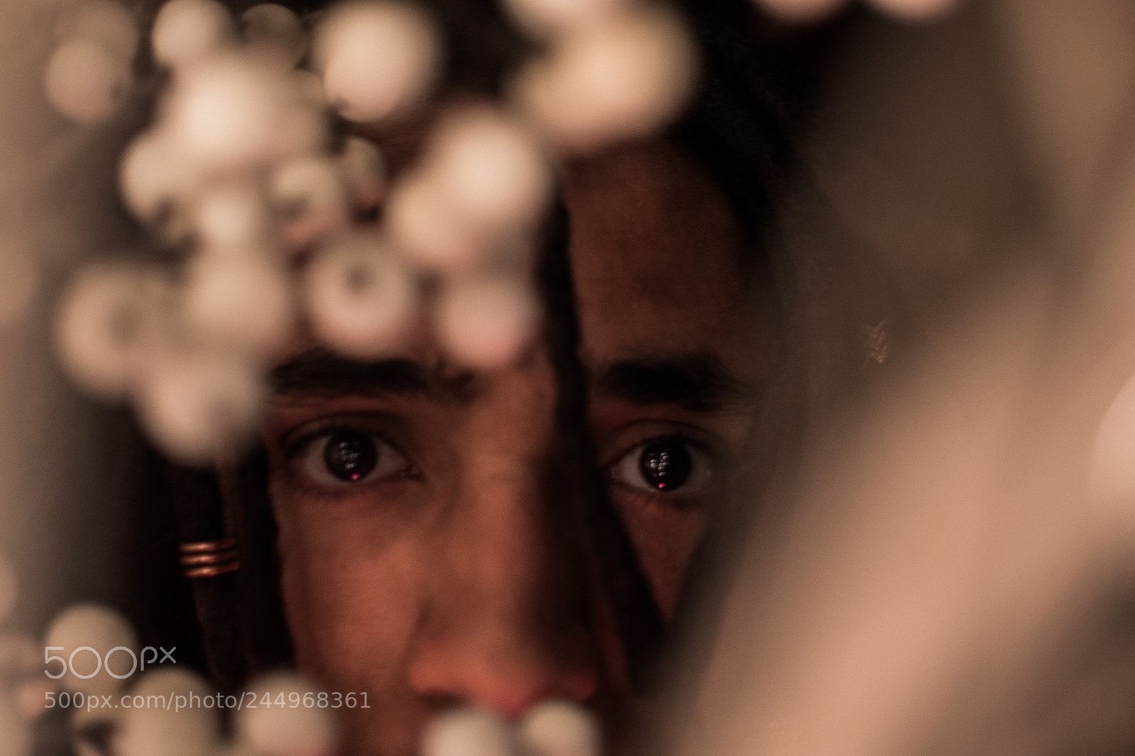 Nikon D810 sample photo. Io photography