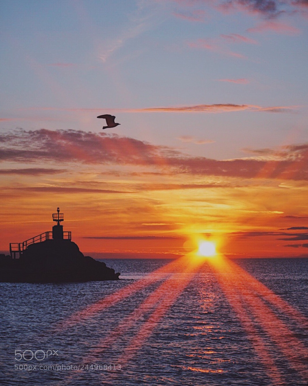 Sony a6500 sample photo. Sunset with a star photography