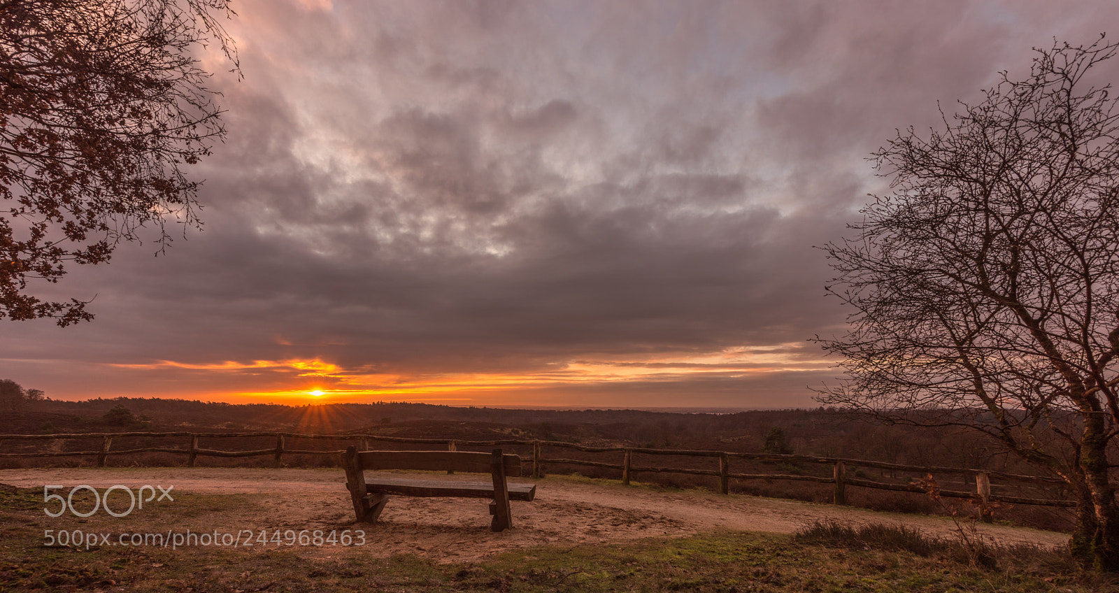 Nikon D810 sample photo. Start of the cold photography