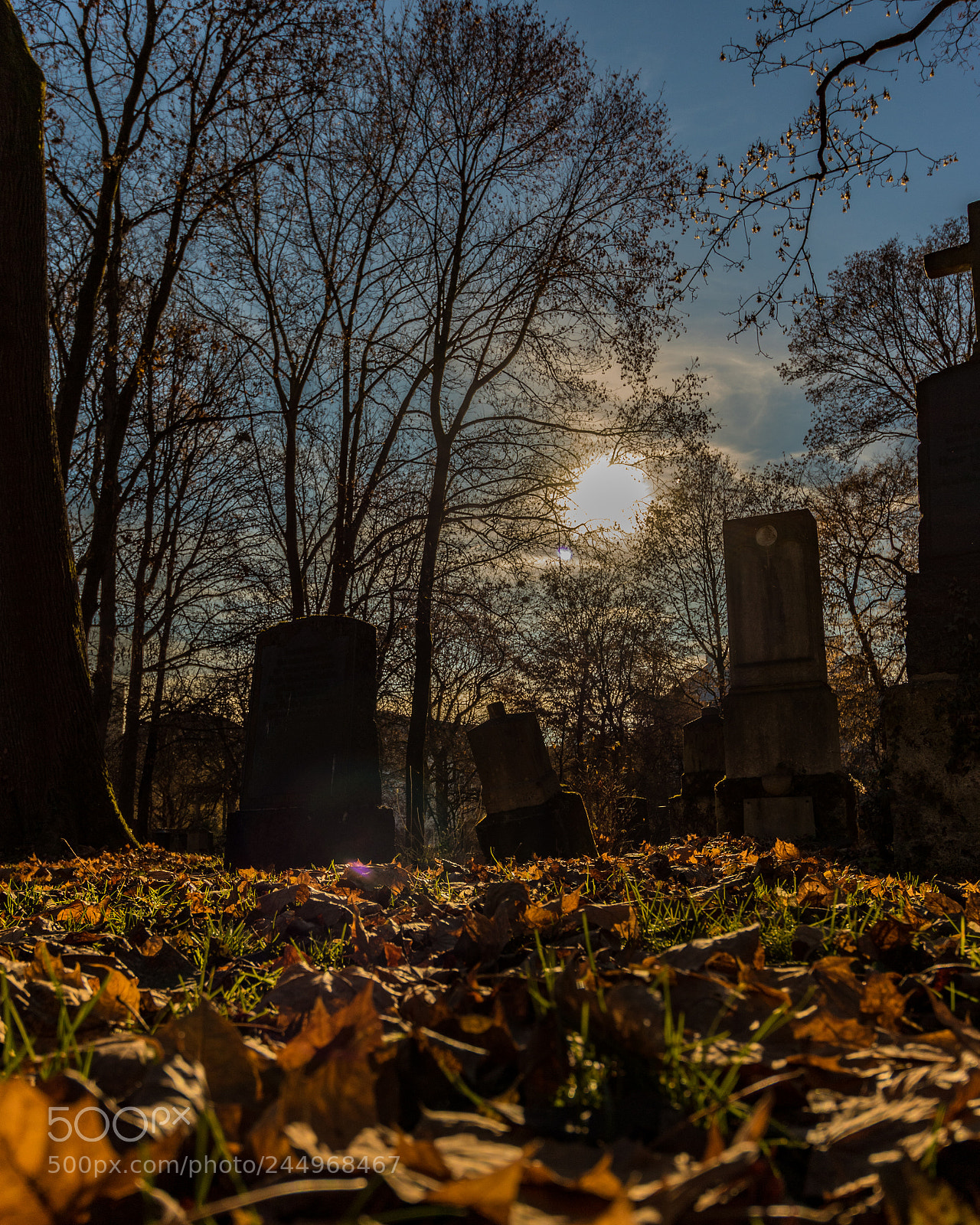 Canon EOS 7D Mark II sample photo. Peace photography