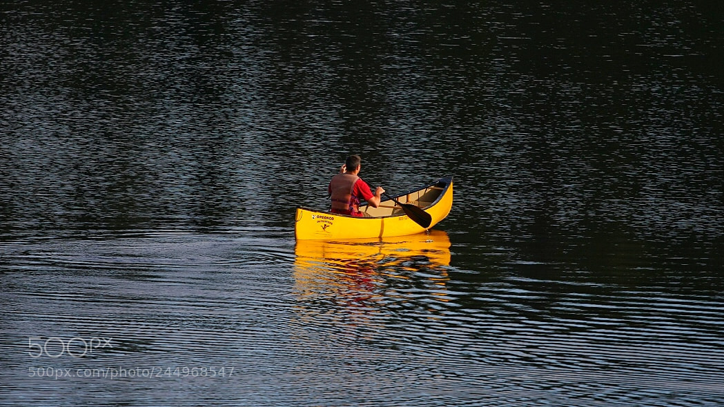 Canon EOS 40D sample photo. Canoeing at bog lake photography
