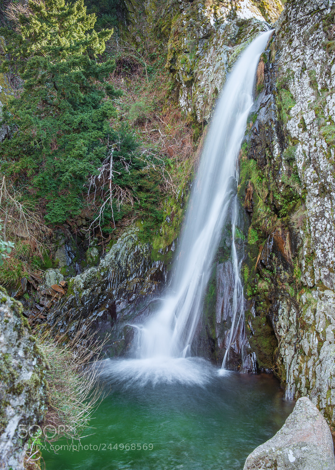 Nikon D600 sample photo. Well photography