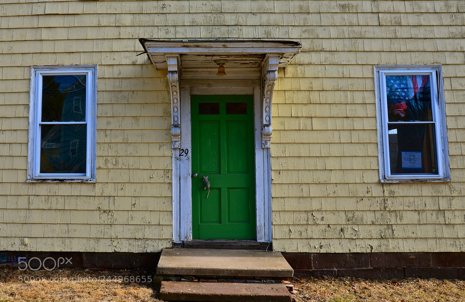 Nikon D600 sample photo. The uninvited photography