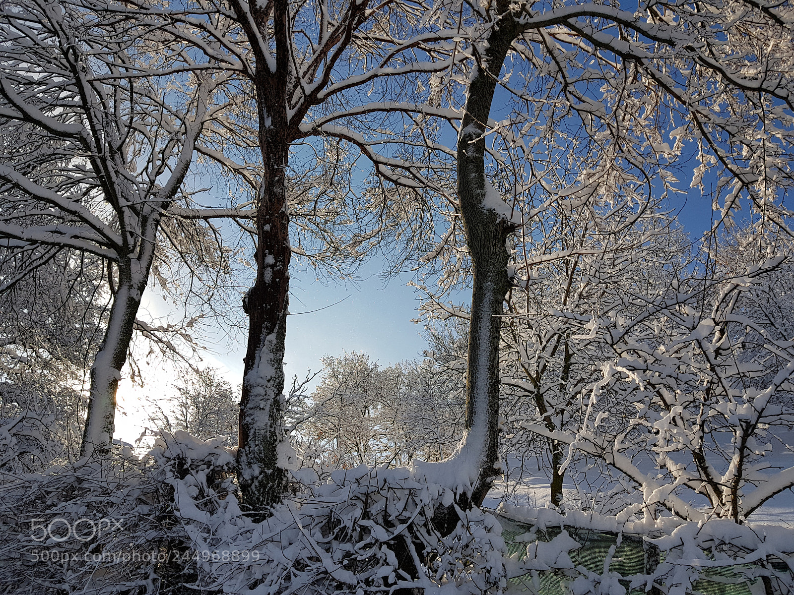 Samsung Galaxy S7 sample photo. Winter light photography