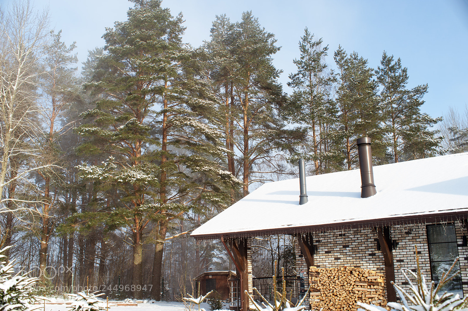 Nikon D700 sample photo. Feels like home photography