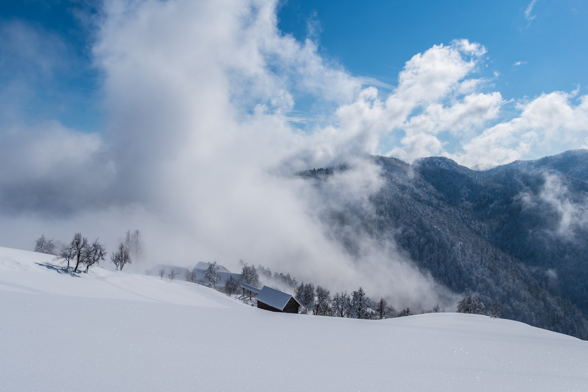 Pentax K-S1 sample photo. Winter i photography