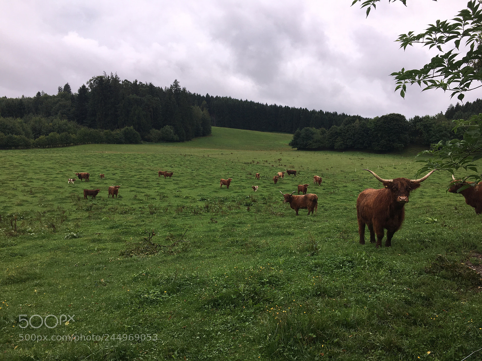 Apple iPhone 6s sample photo. Chiemsee highlands photography