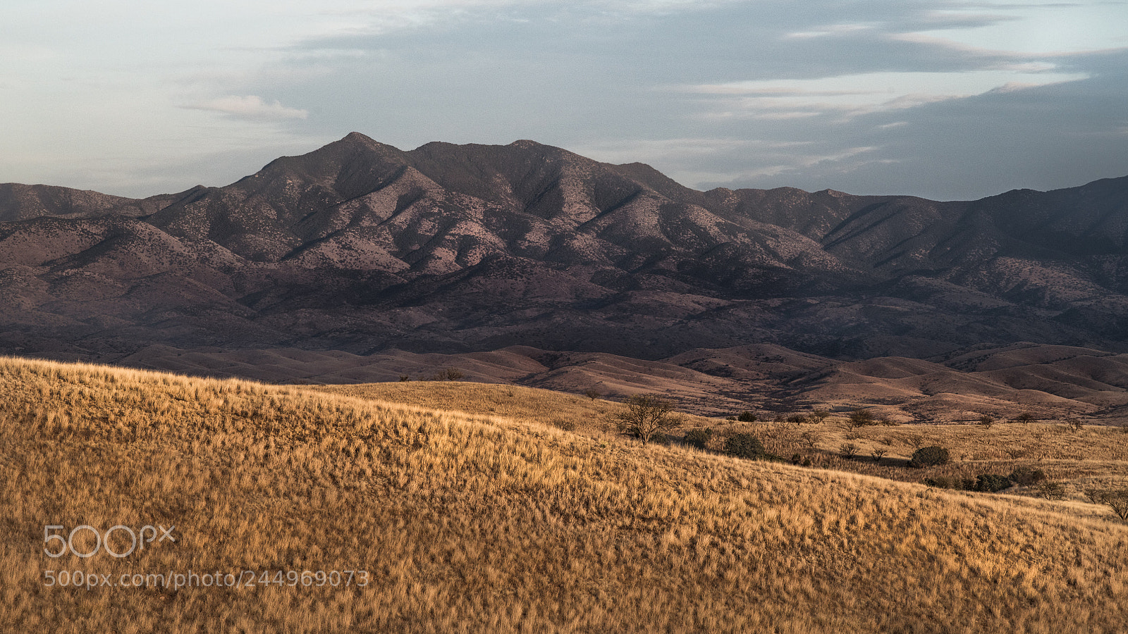 Nikon D850 sample photo. Colors fade at end photography
