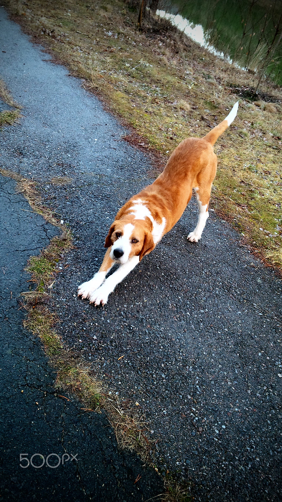 BlackBerry Z10 sample photo. Greetings, strangers! photography