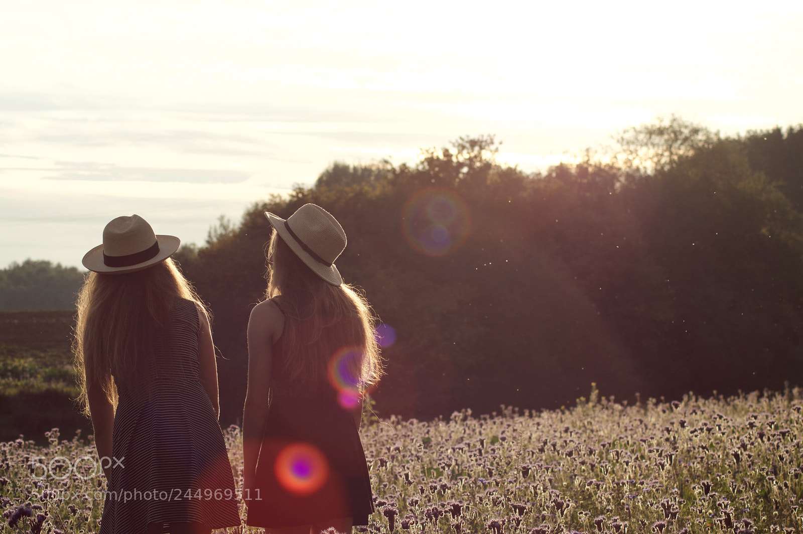 Nikon D3200 sample photo. Untitled photography
