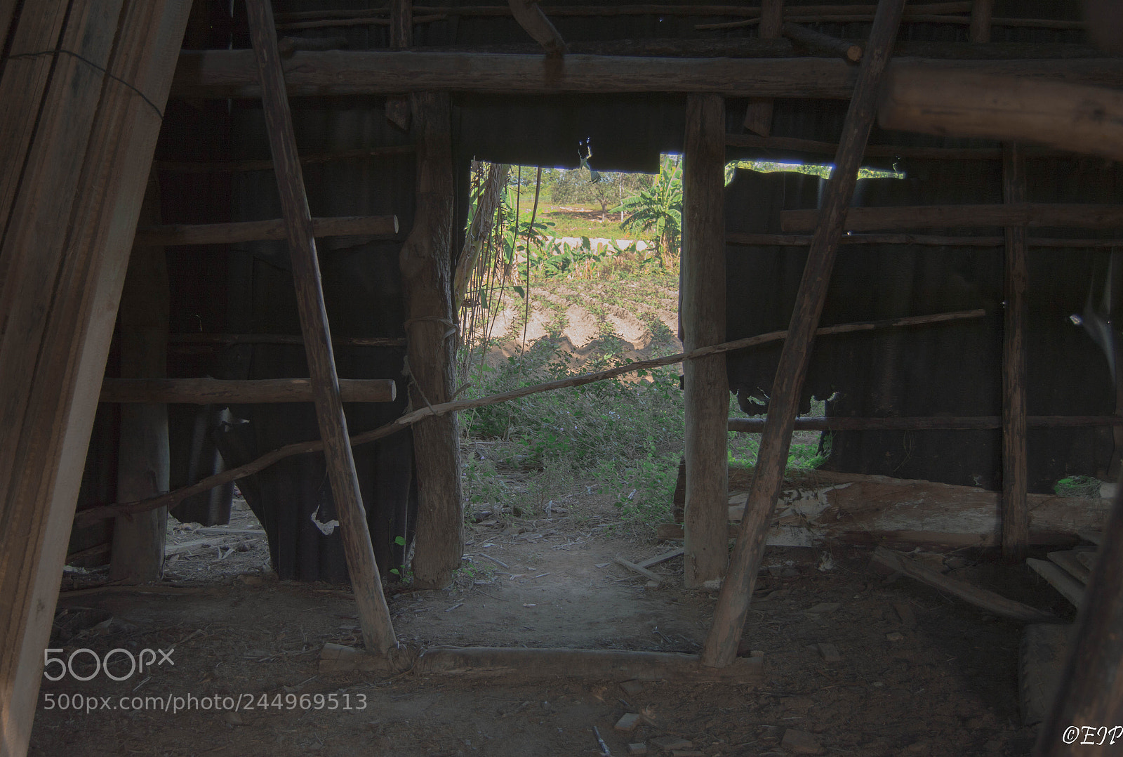 Nikon D3200 sample photo. Cuban agriculture photography