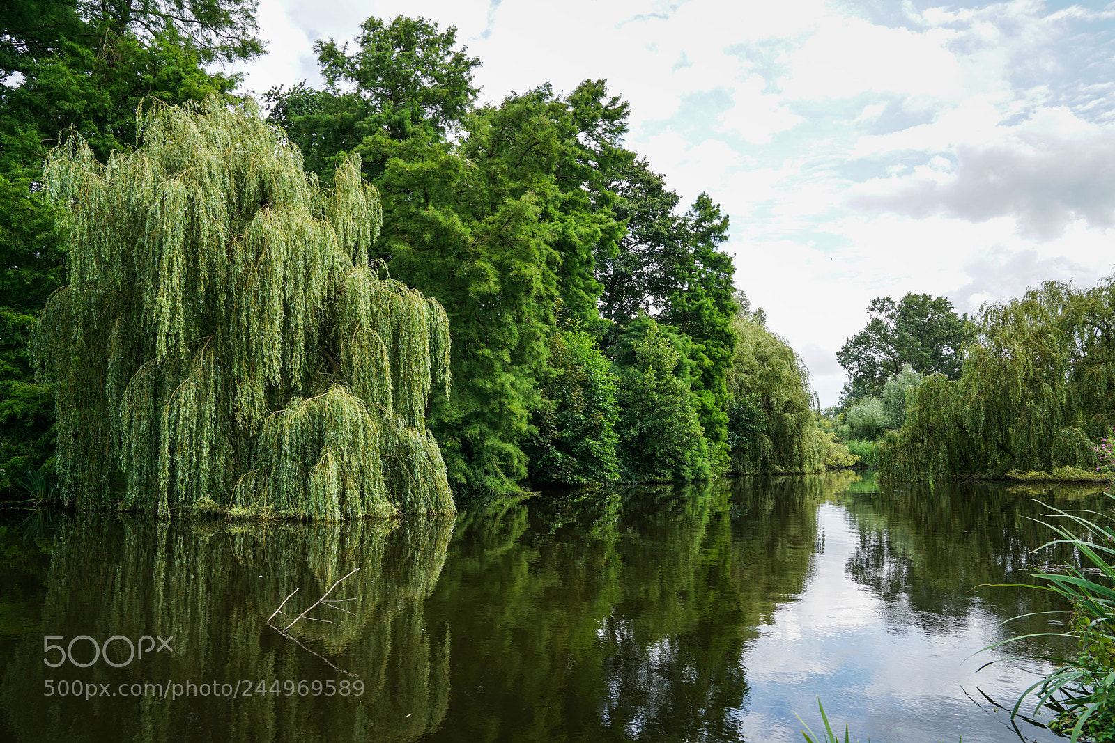 Sony a7R II sample photo. 2017  |  vondelpark, amsterdam, netherlands photography