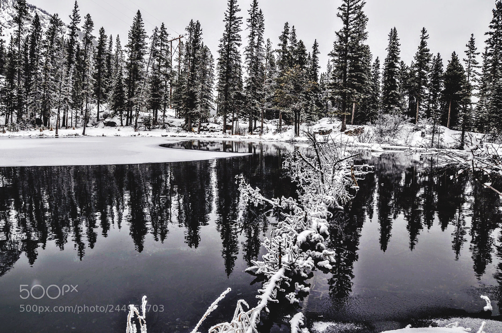 Nikon D5000 sample photo. Grassi lakes trail.  photography