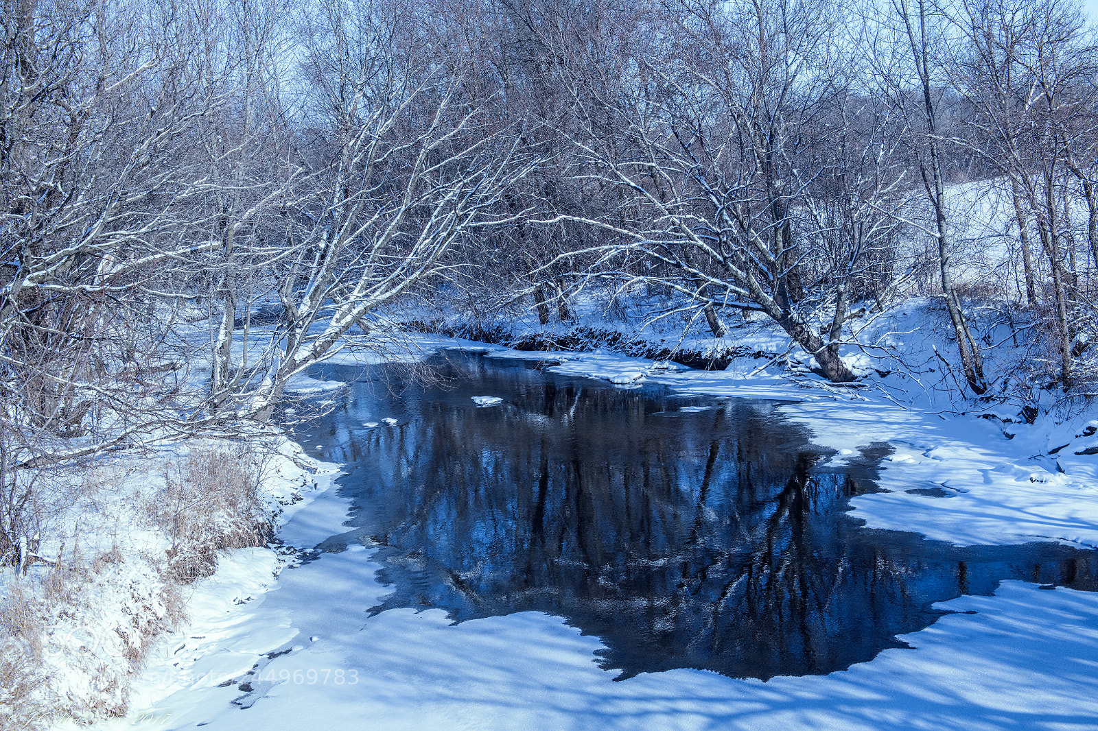 Nikon D850 sample photo. Winter beauty 2017: 2 photography
