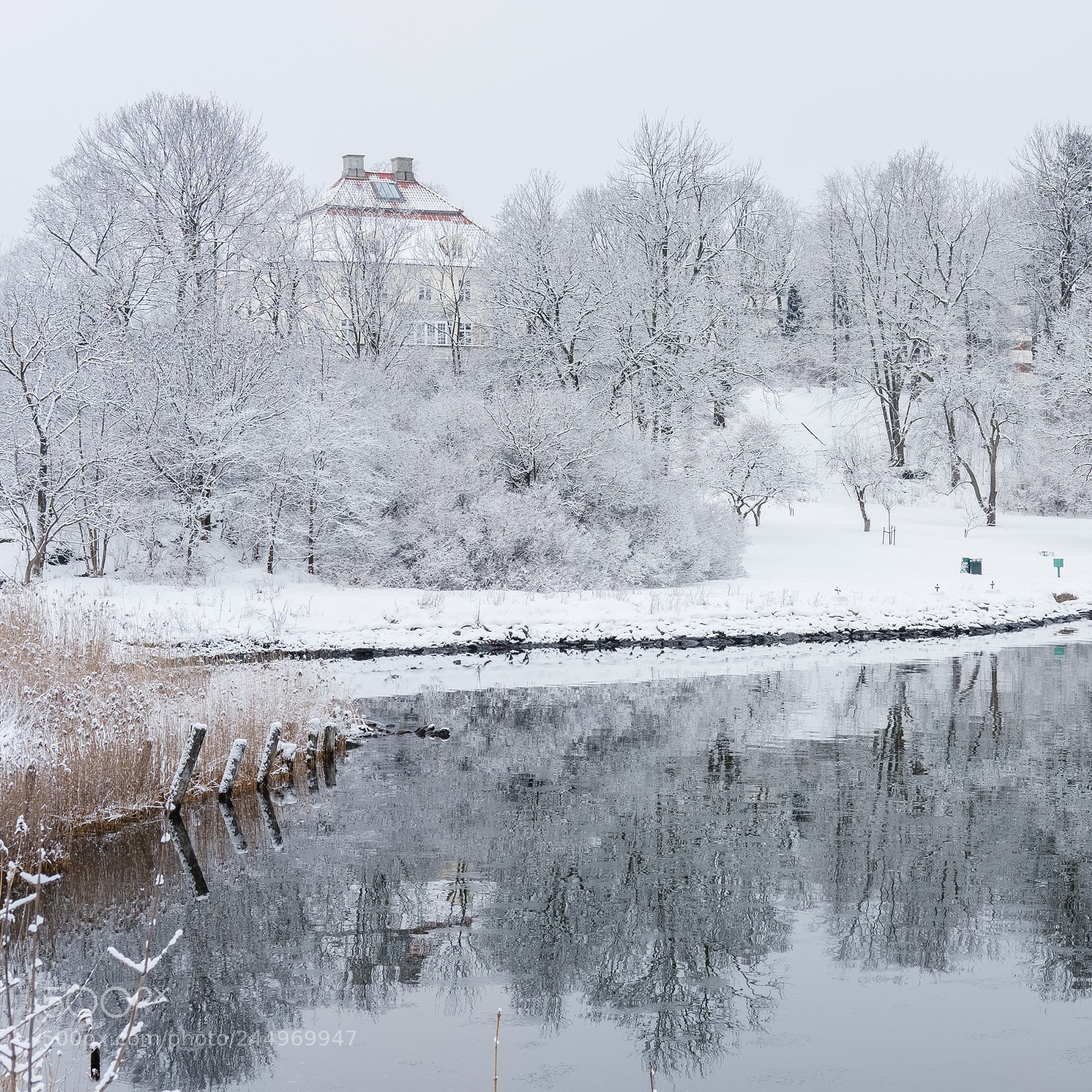 Fujifilm X-Pro2 sample photo. Winter in oslo photography