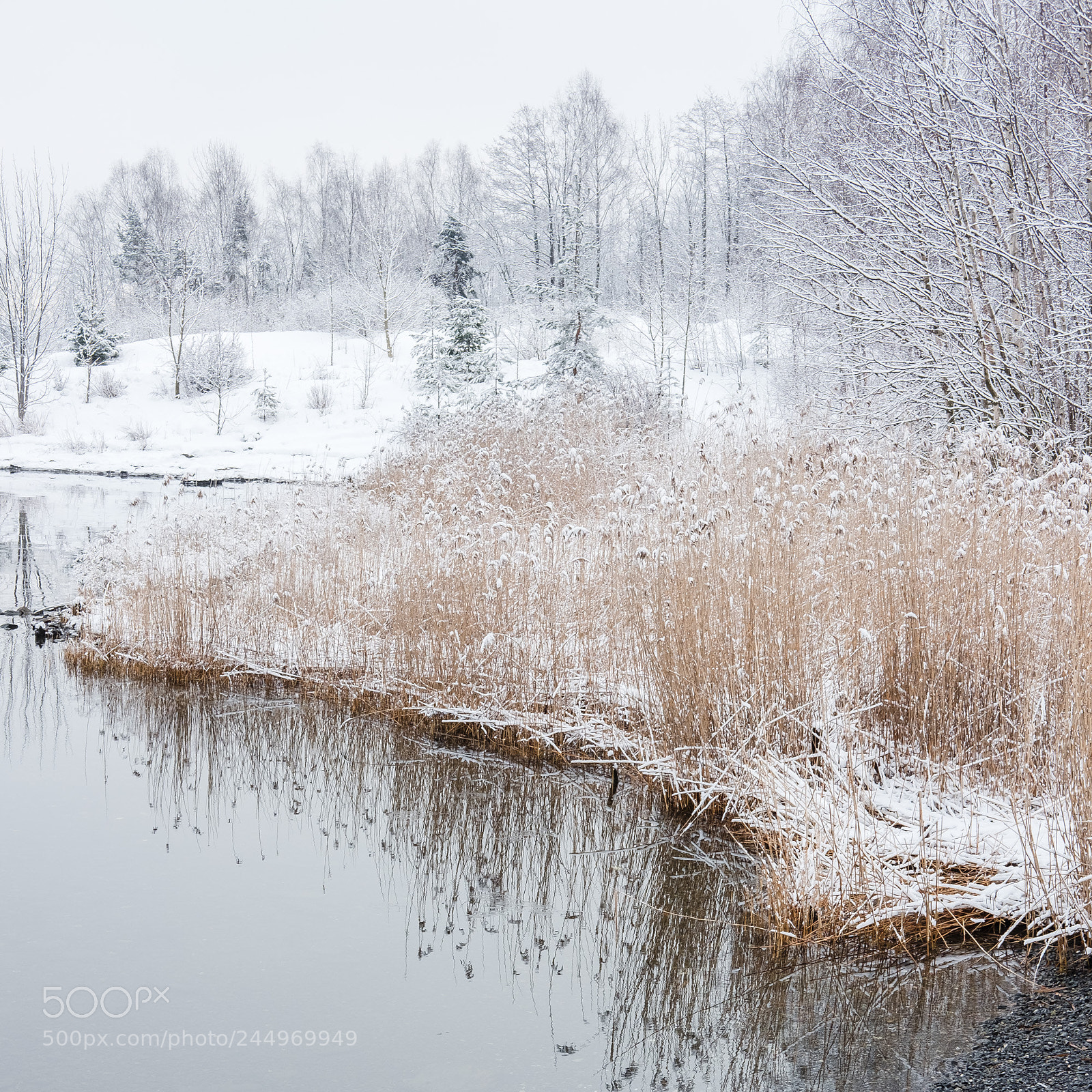 Fujifilm X-Pro2 sample photo. Winter in oslo photography