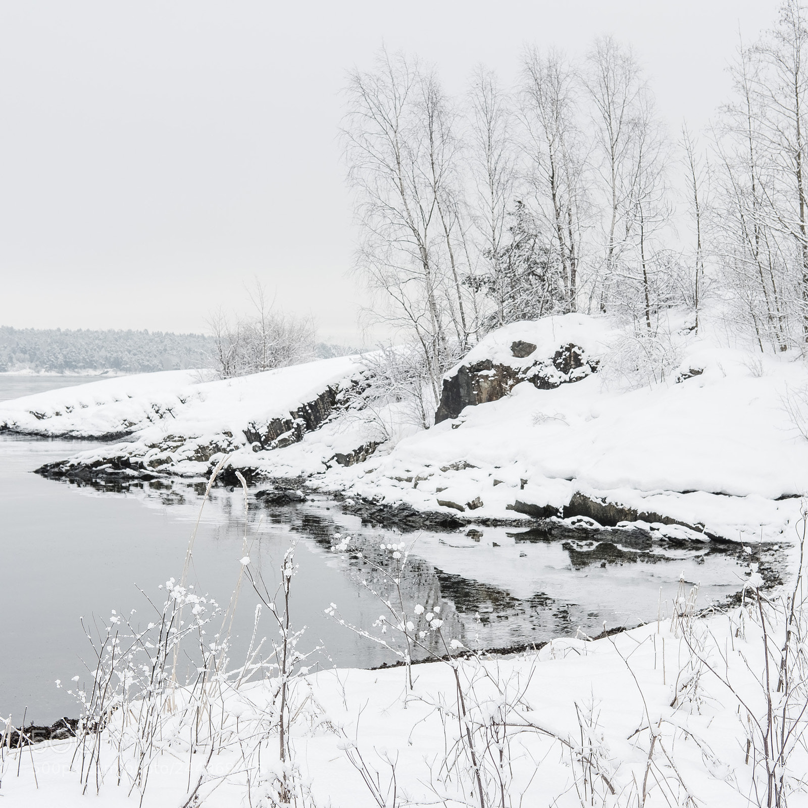 Fujifilm X-Pro2 sample photo. Winter in oslo photography