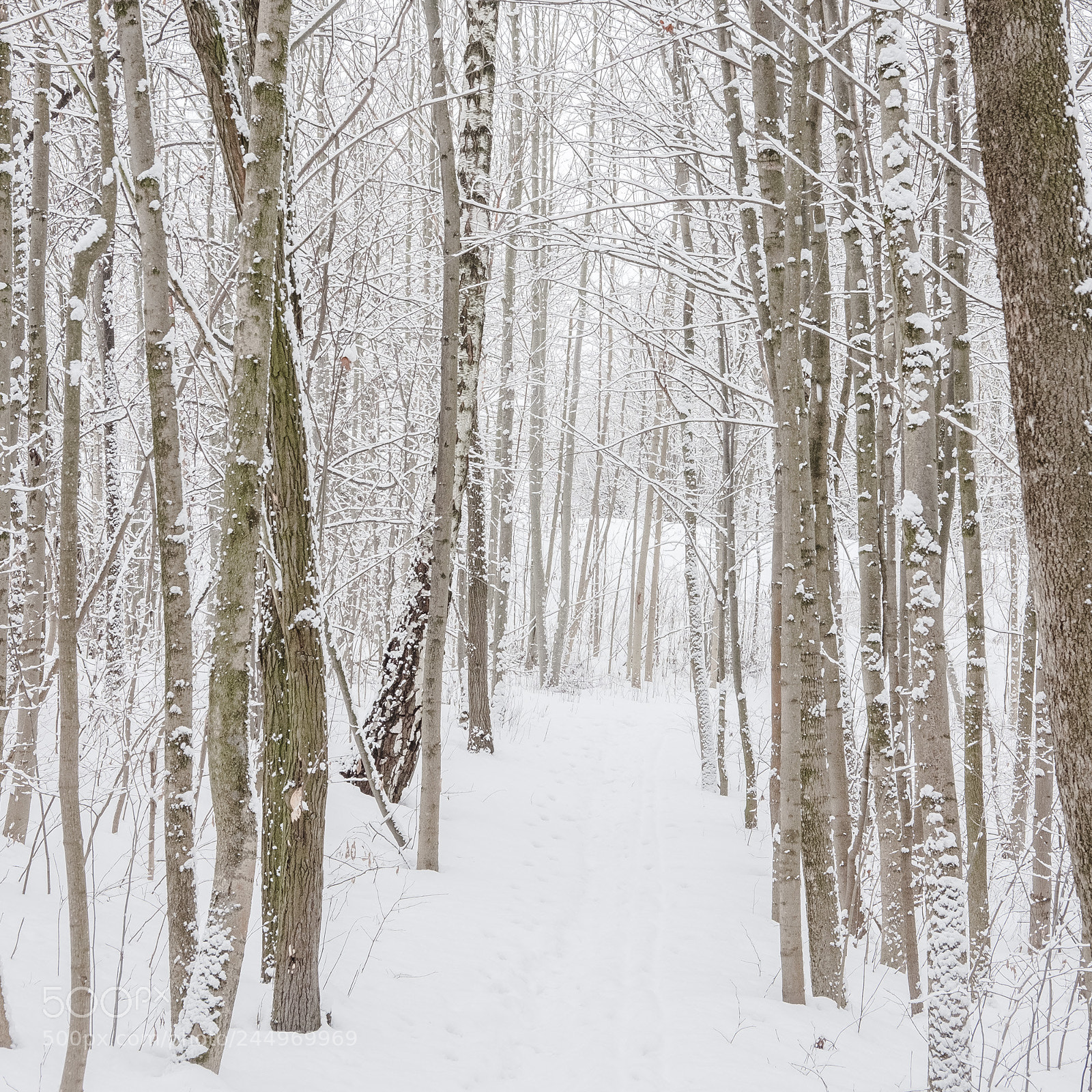 Fujifilm X-Pro2 sample photo. Winter in oslo photography