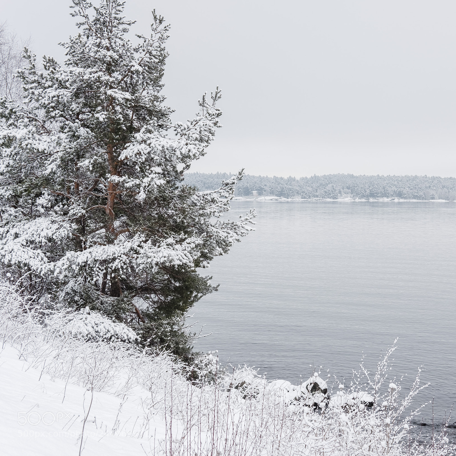 Fujifilm X-Pro2 sample photo. Winter in oslo photography