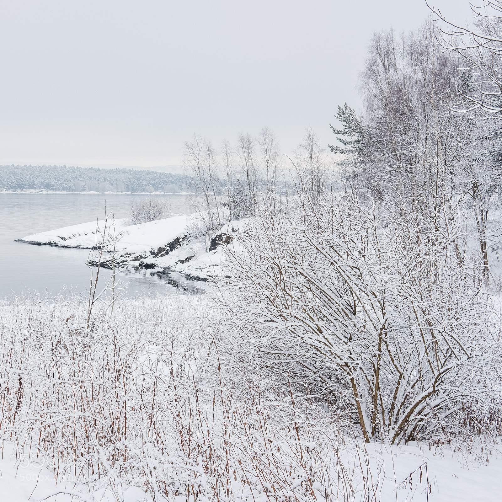 Fujifilm X-Pro2 sample photo. Winter in oslo photography