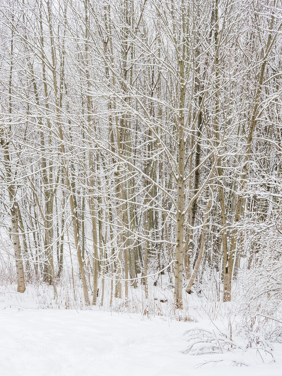Fujifilm X-Pro2 sample photo. Winter in oslo photography