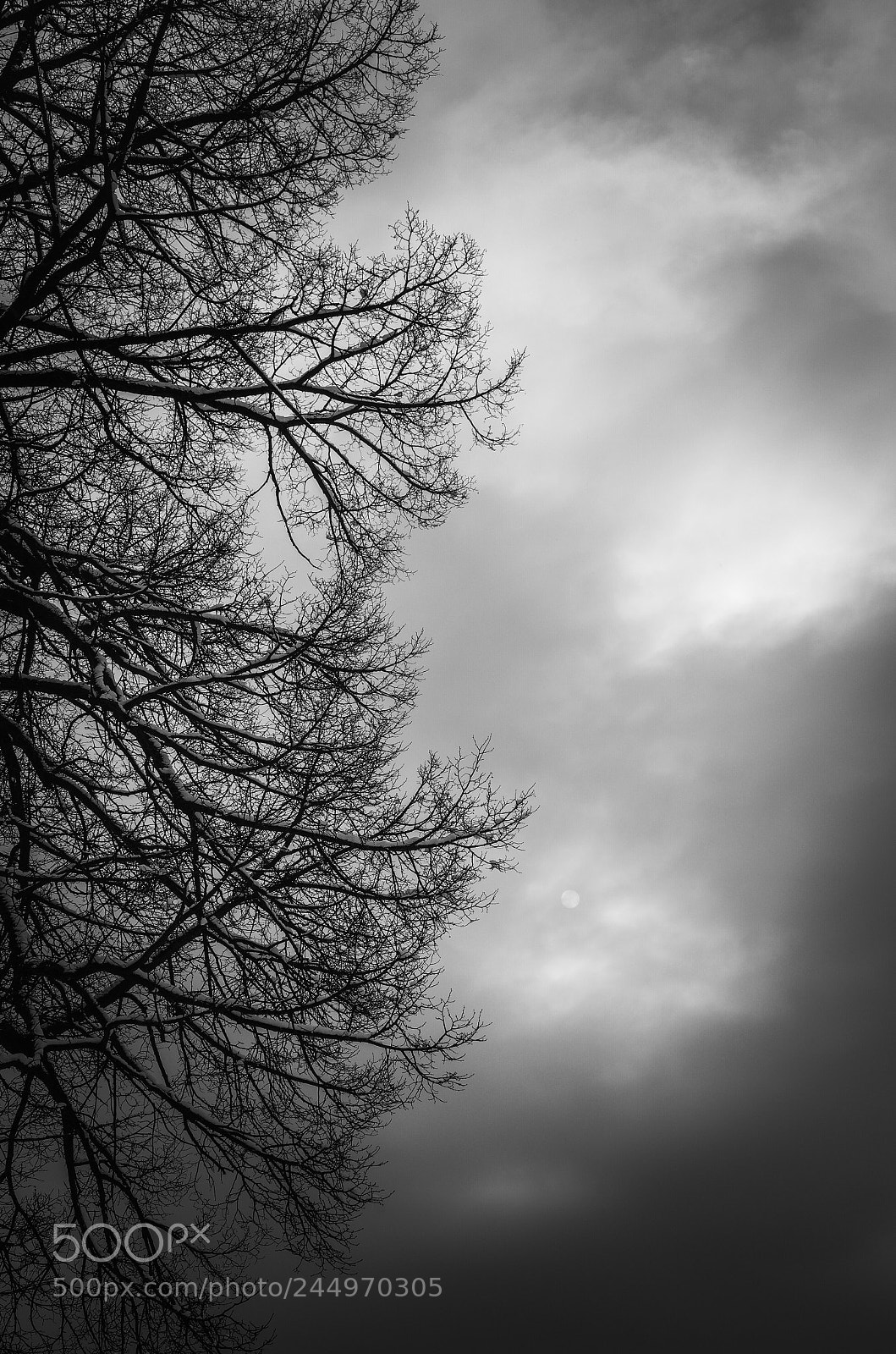 Pentax K-5 IIs sample photo. Untitled photography