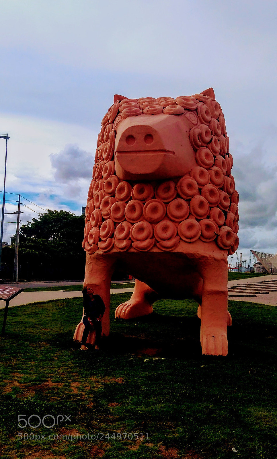 Motorola Moto G Play sample photo. Untitled photography