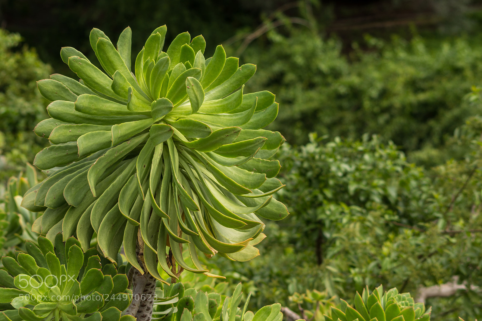 Nikon D7100 sample photo. Untitled photography