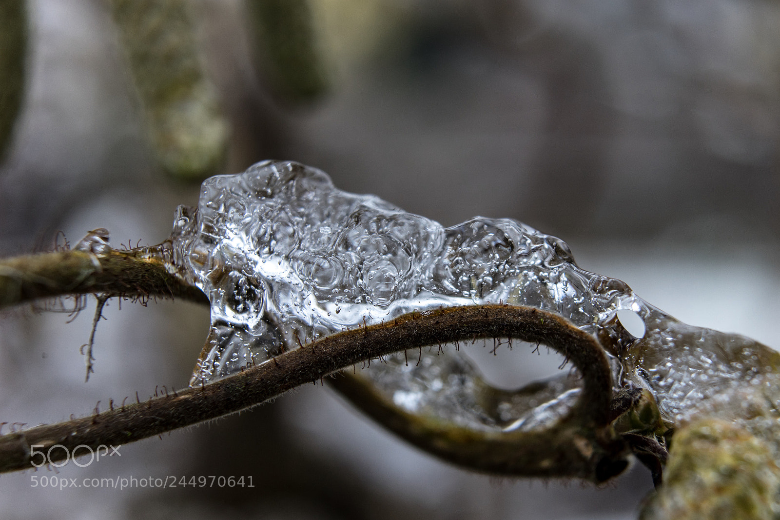 Sony a7 II sample photo. When snow turns in photography