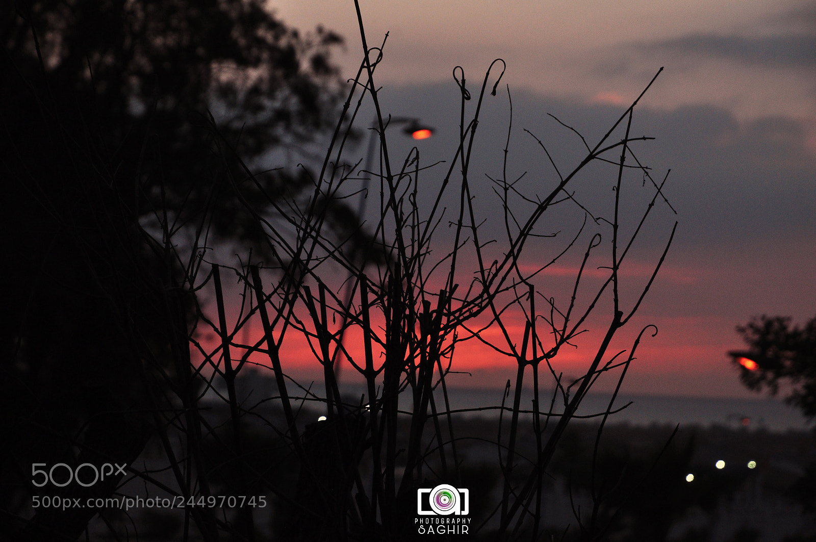 Nikon D90 sample photo. Untitled photography