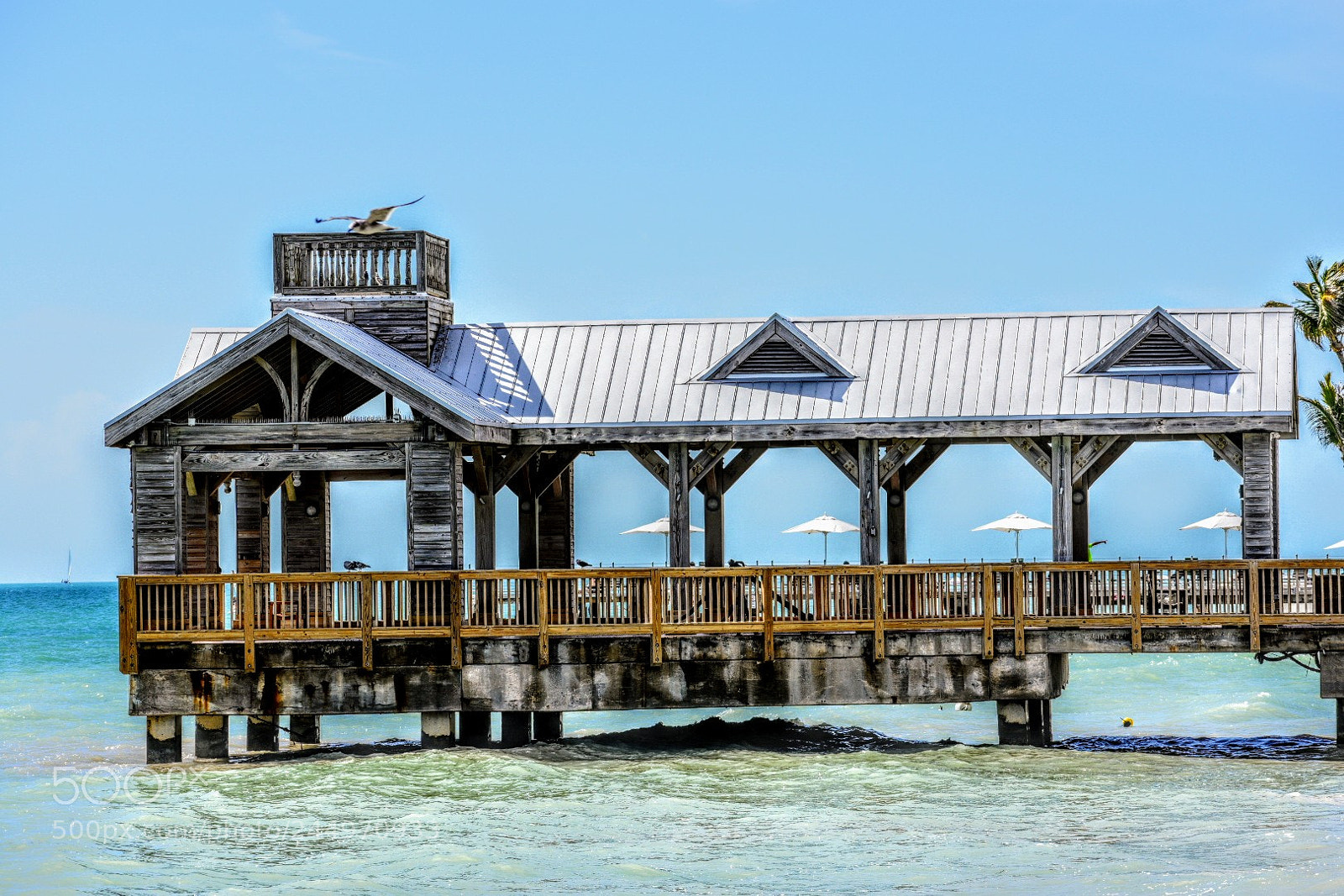 Nikon D3400 sample photo. Southern most photography