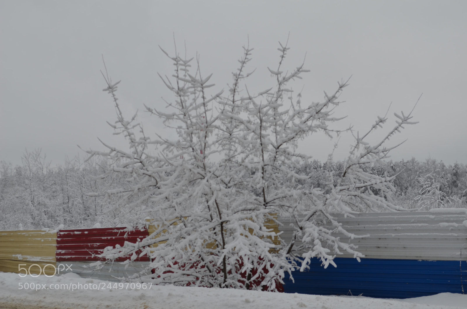 Nikon D5100 sample photo. Untitled photography
