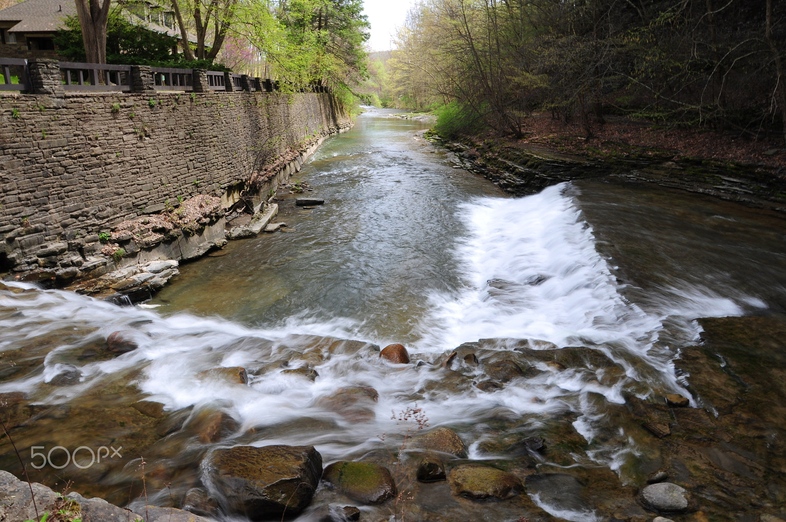 Nikon D5000 sample photo. Flowing water robert treman park photography