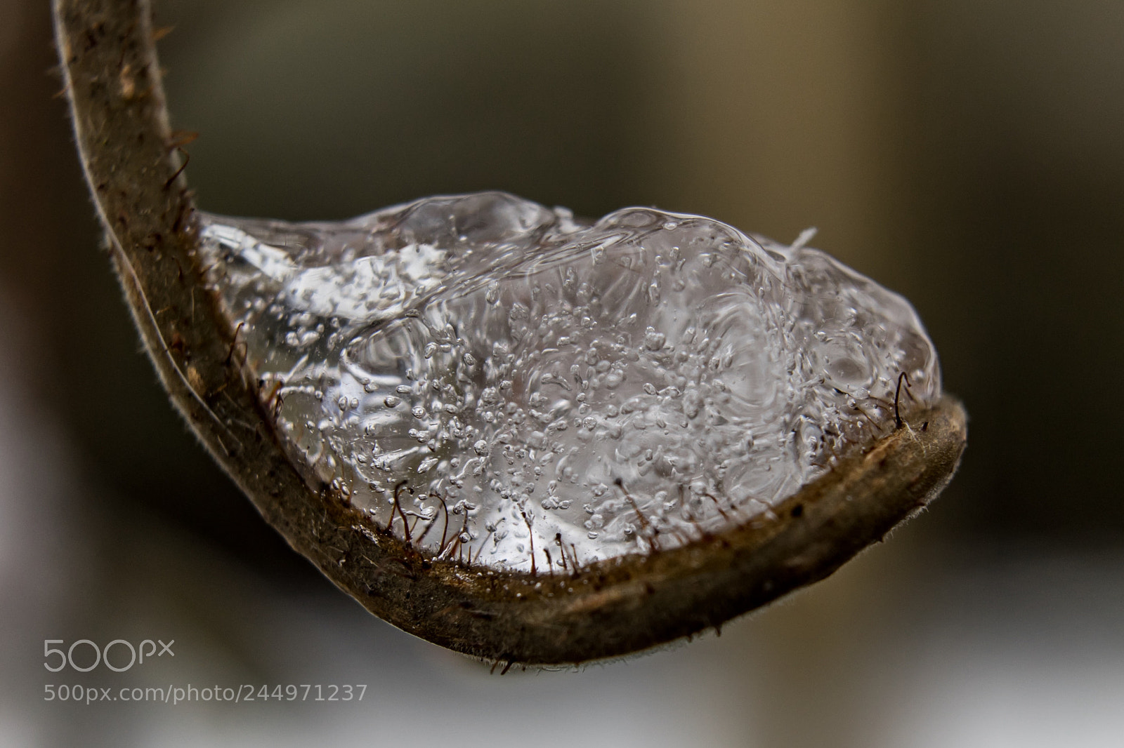 Sony a7 II sample photo. Ice photography