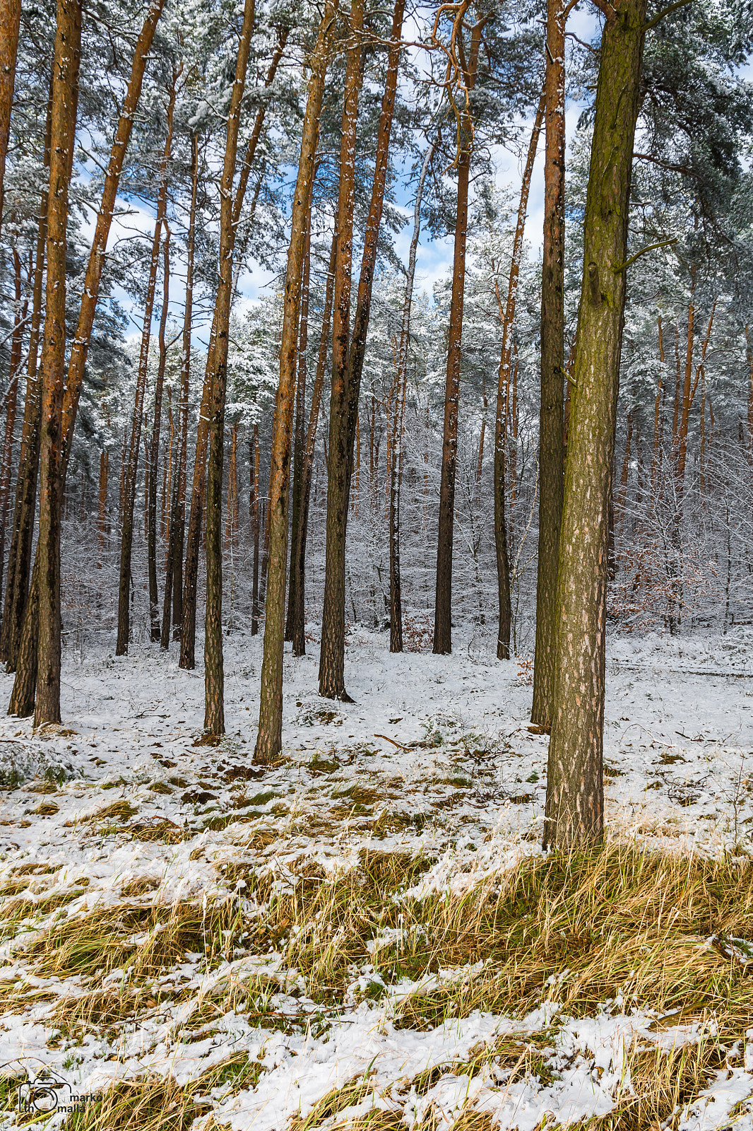 Canon EOS 750D (EOS Rebel T6i / EOS Kiss X8i) sample photo. Some snow in the photography