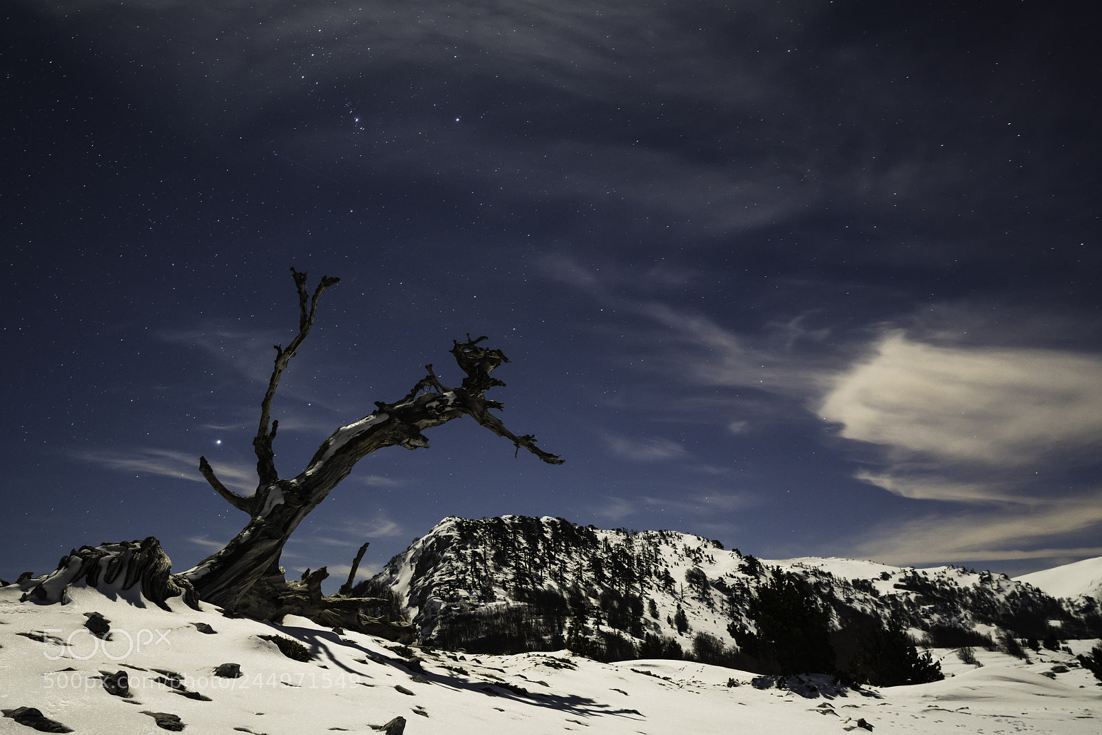 Sony a7R III sample photo. Under the moonlight photography
