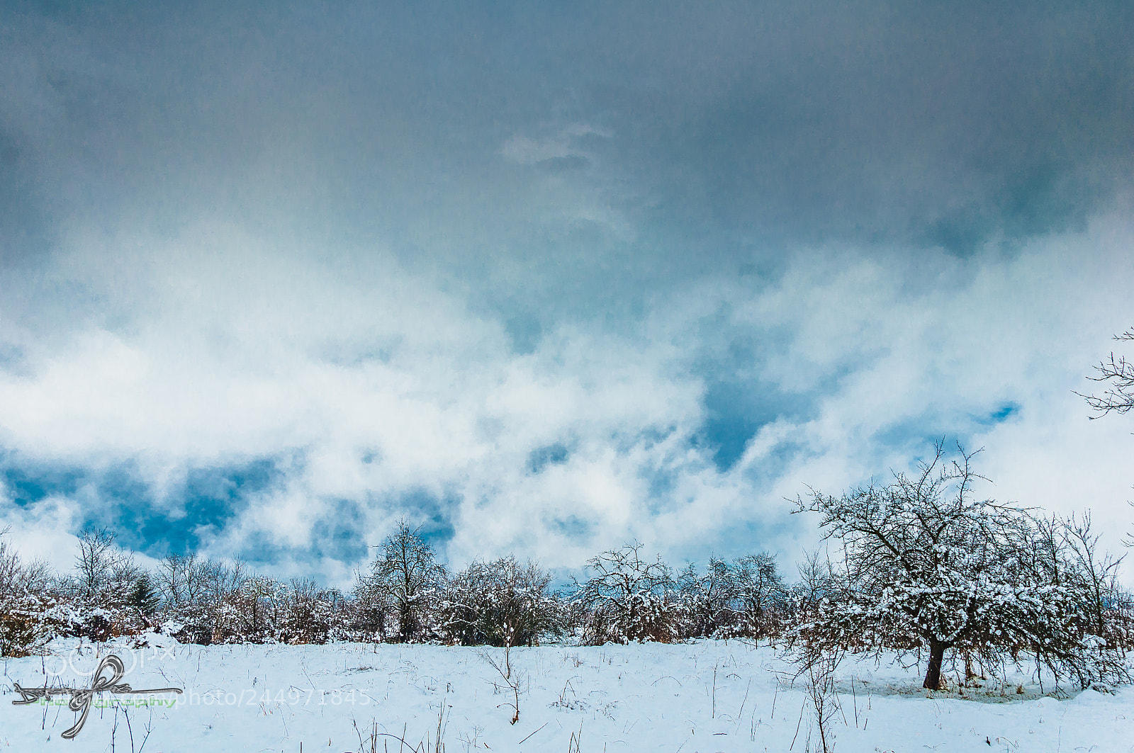 Nikon D90 sample photo. Winter photography