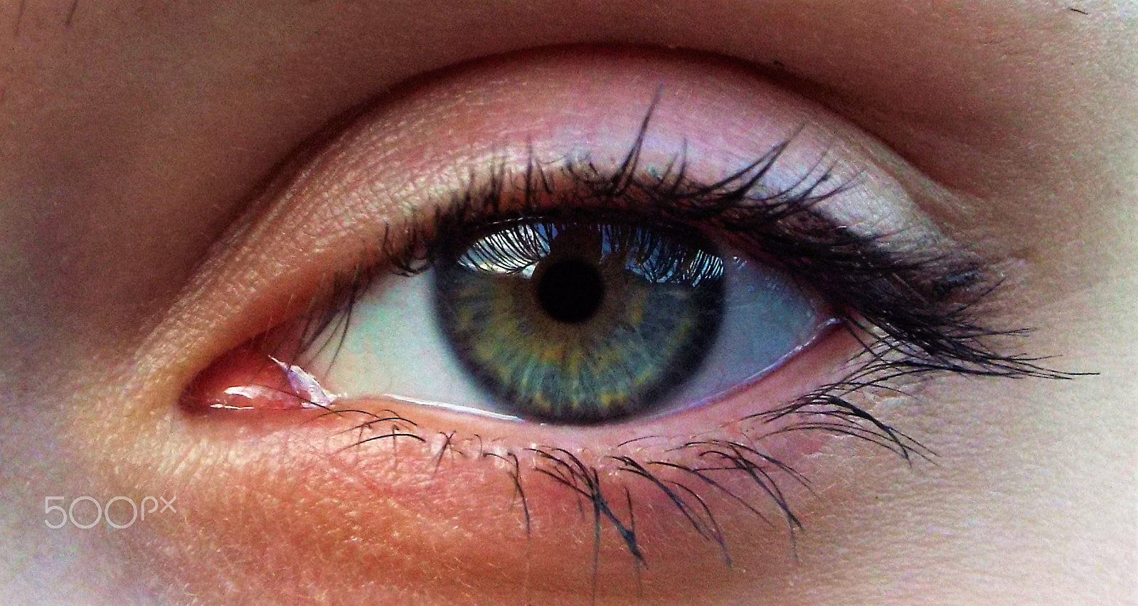 Fujifilm FinePix S9200 S9250 S9150 sample photo. Perfection photography