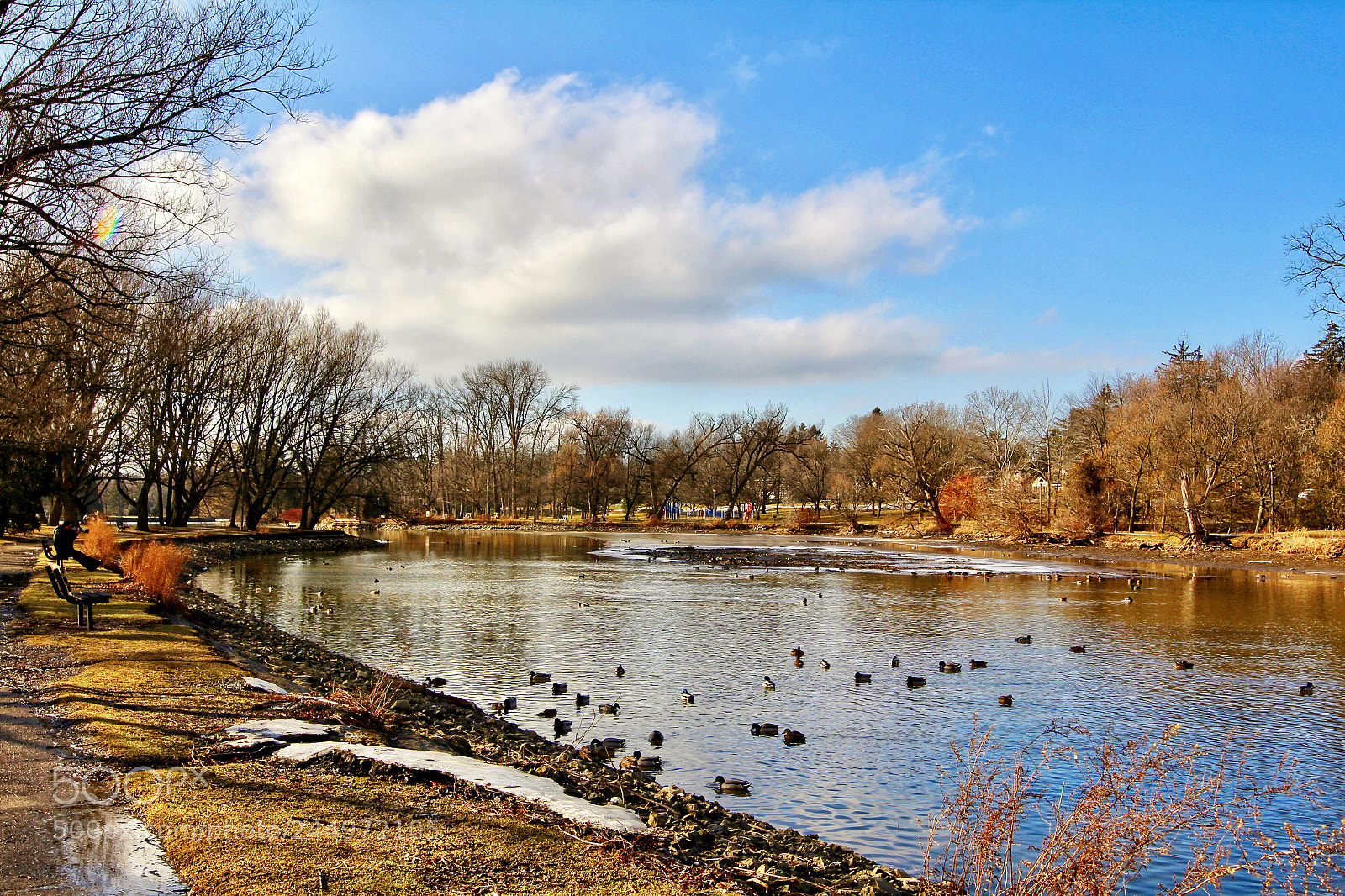Canon EOS 60D sample photo. Winter wonderland photography